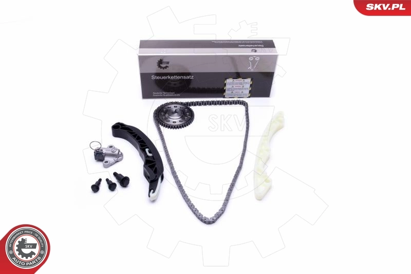 Timing Chain Kit